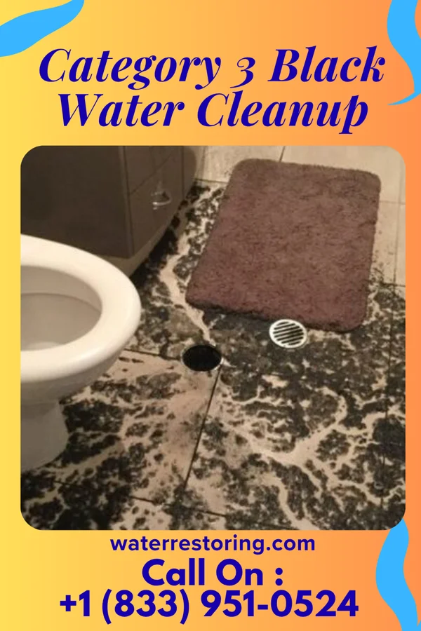 Category 3 Black Water Cleanup in Grove City, FL