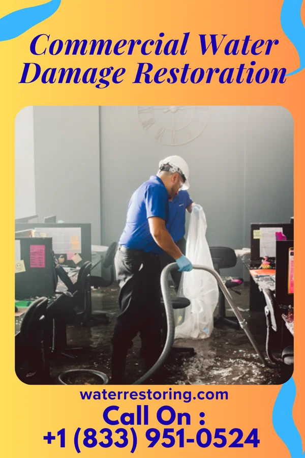 Commercial Water Damage Restoration in Grove City, FL