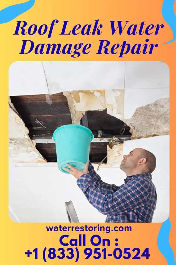 Roof Leak Water Damage Repair in Grove City, FL